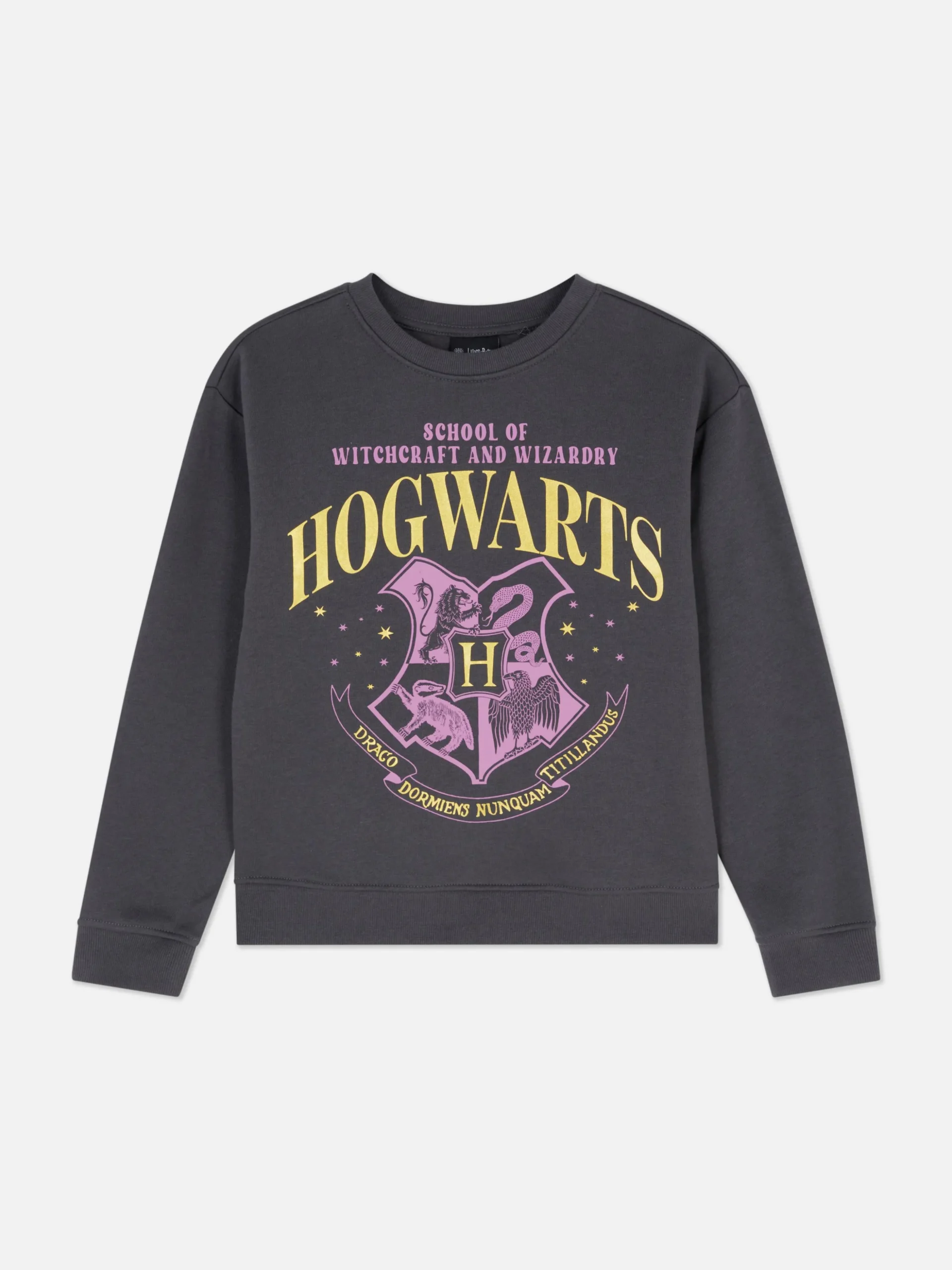 Camisola Gola Redonda Harry Potter™ Hogwarts