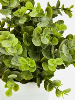 Eucalipto Artificial Pequeno