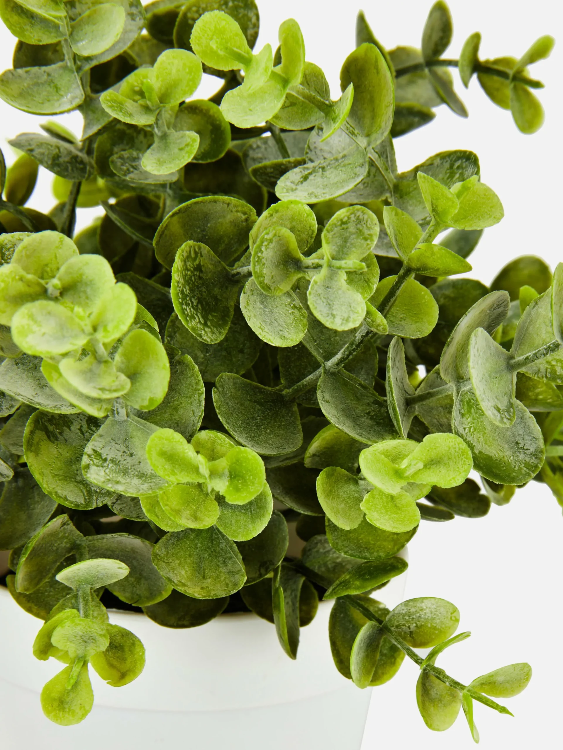 Eucalipto Artificial Pequeno