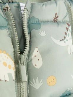 Fato Passeio Padrão Dinossauro