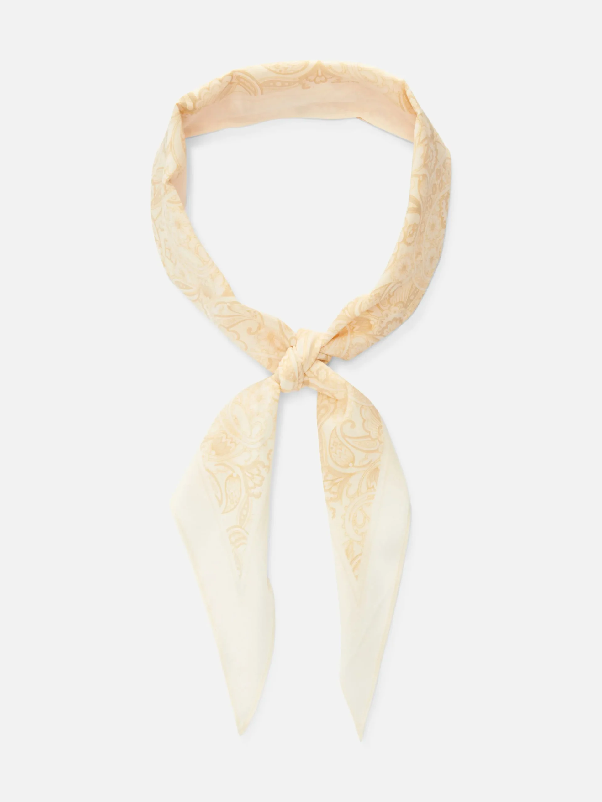 Lenço Padrão Paisley