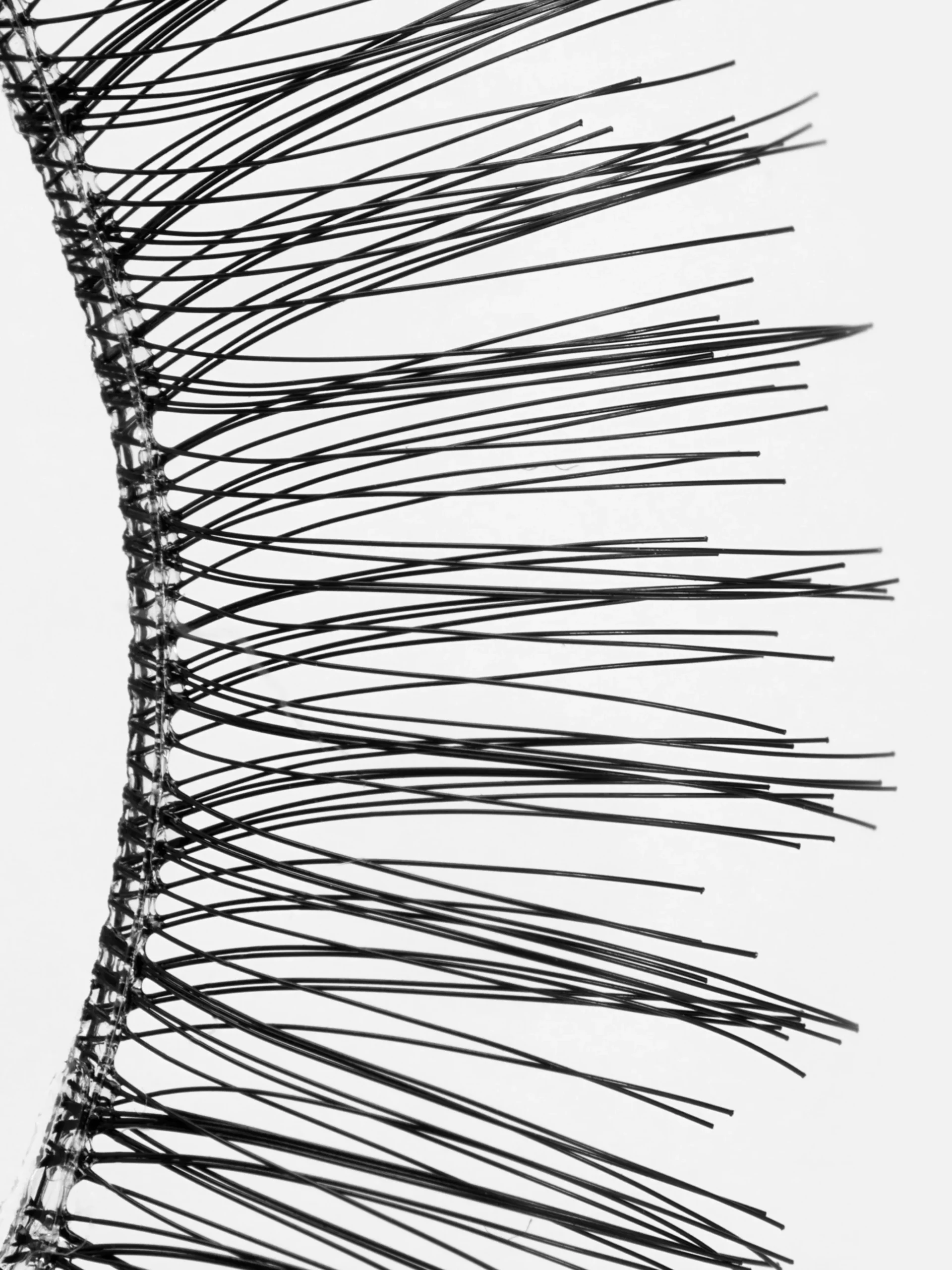 PS... Pestanas Postiças